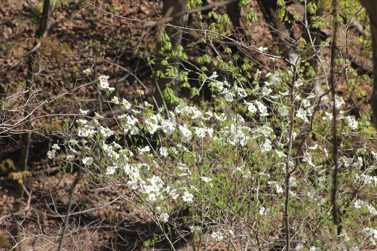 Listing Image 13
