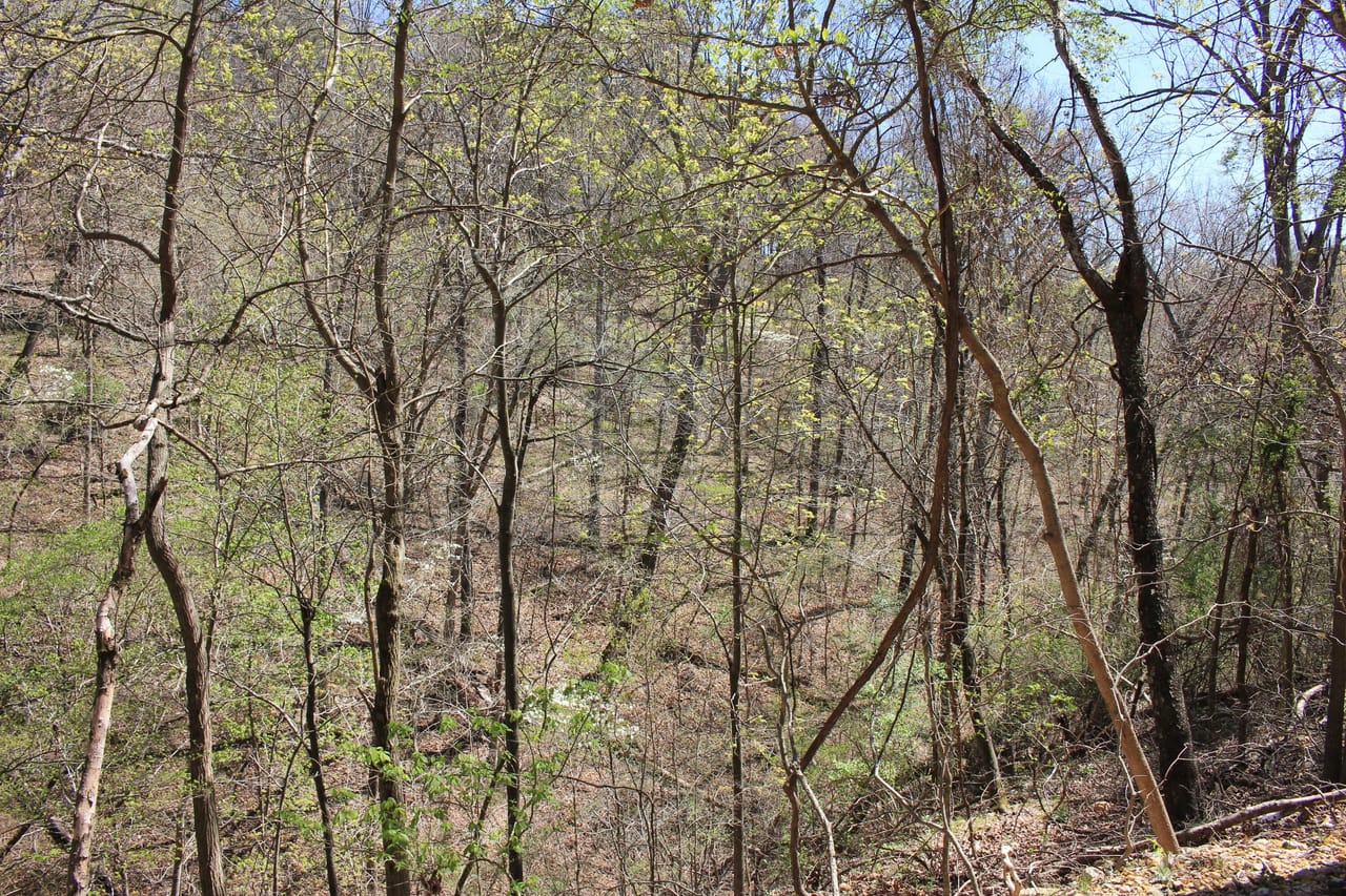 Listing Image 14
