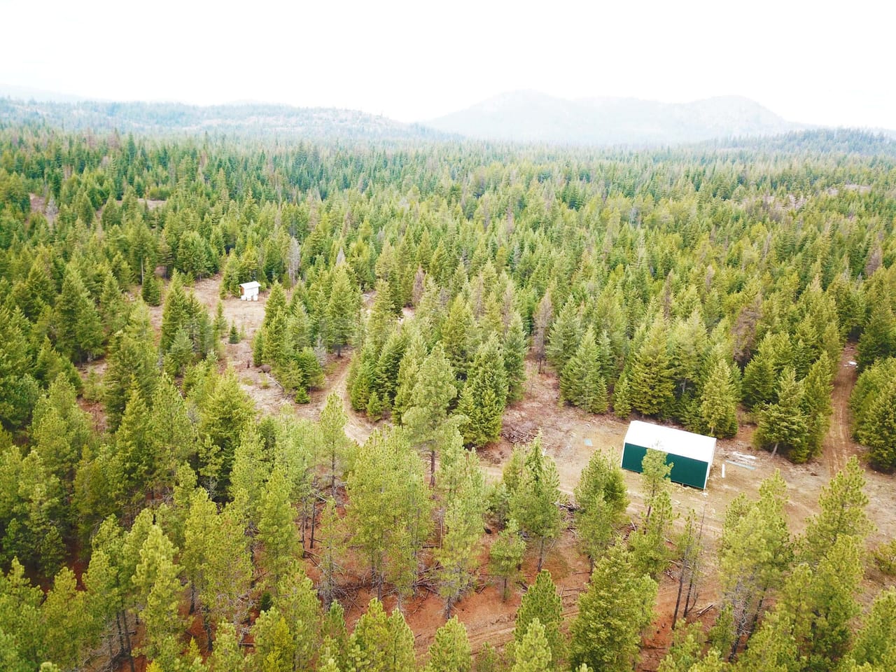 Listing Image 6