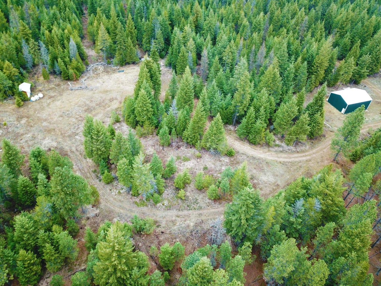 Listing Image 9