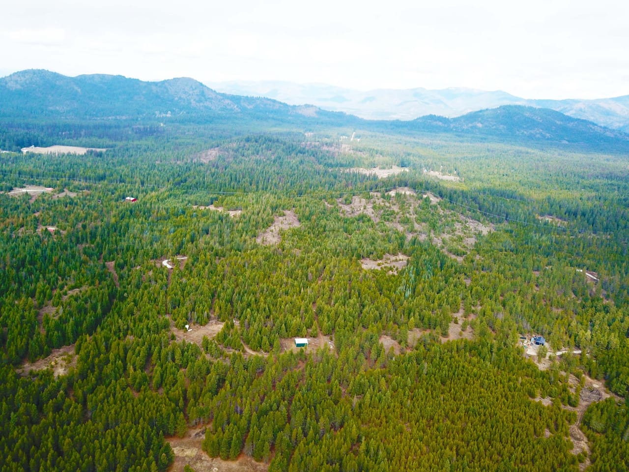 Listing Image 10