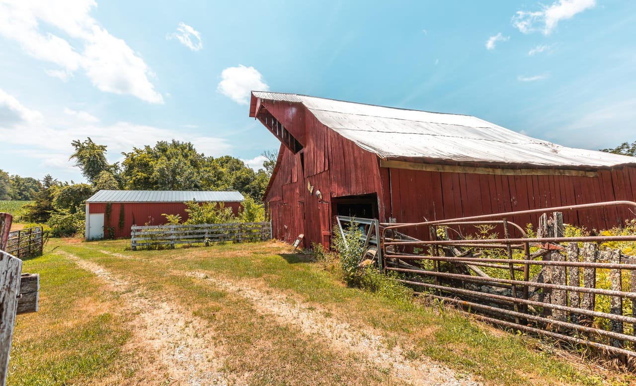Listing Image 10