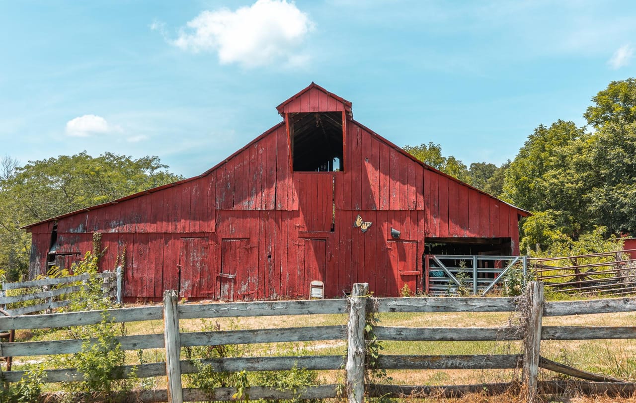 Listing Image 12