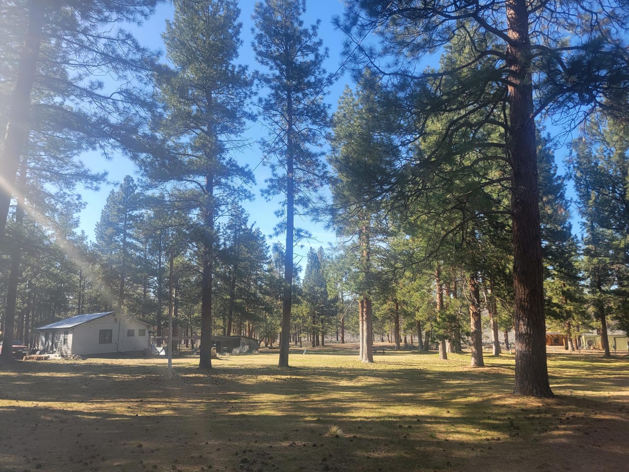 Listing Image 16