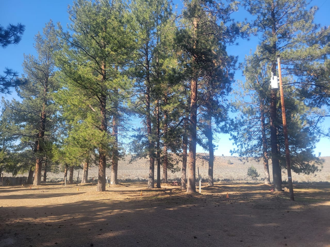 Listing Image 18
