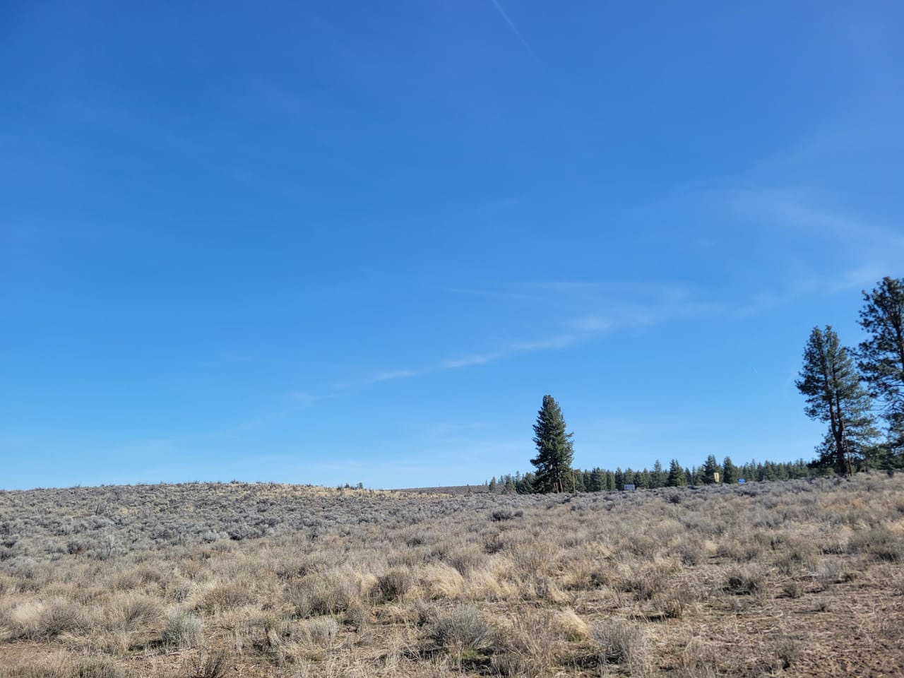 Listing Image 28