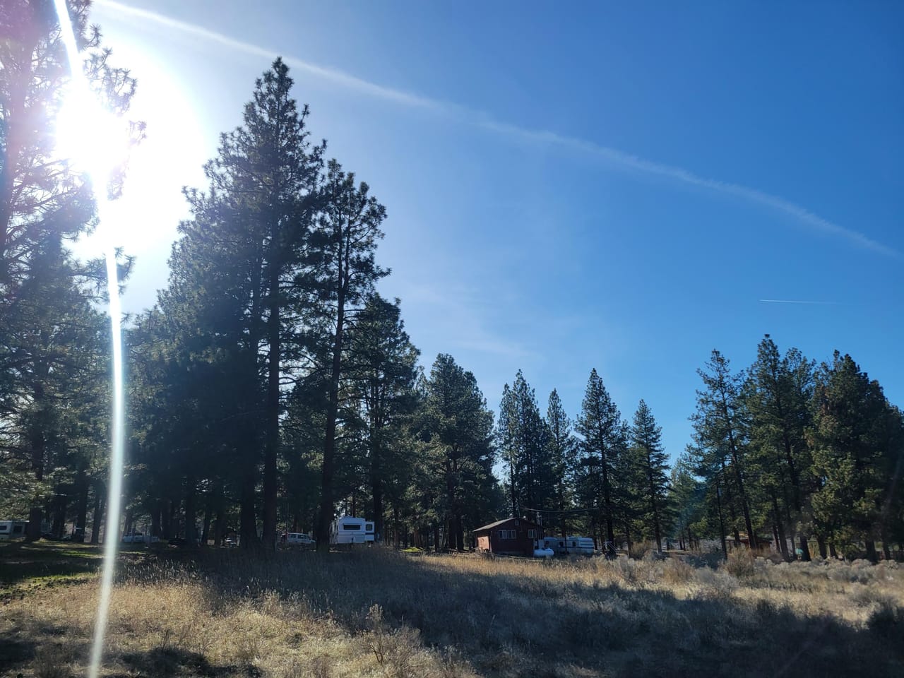 Listing Image 31