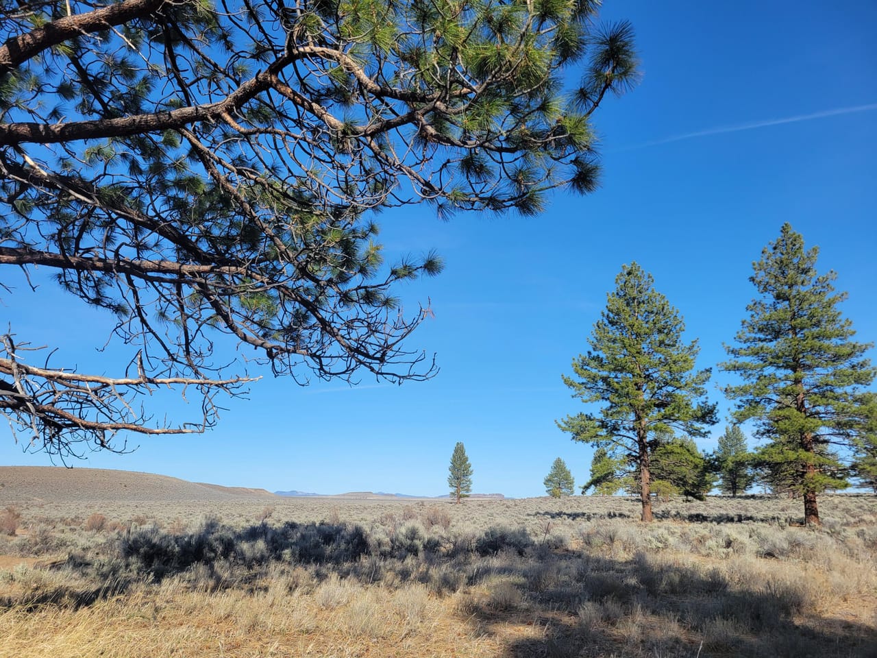 Listing Image 32
