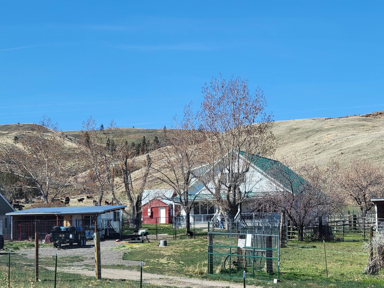 Listing Image 66