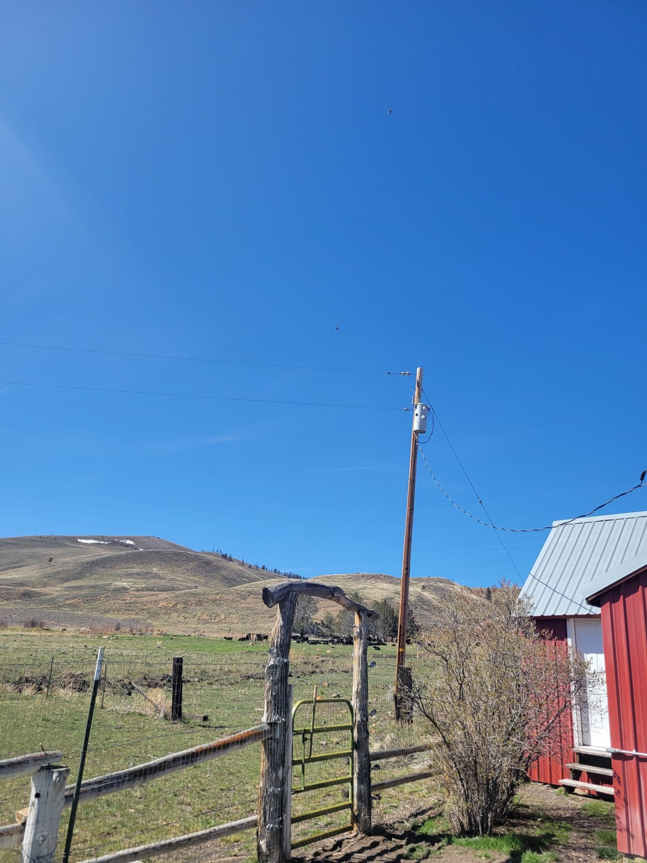 Listing Image 64