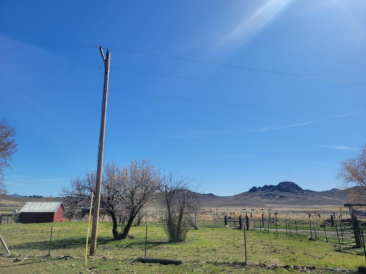 Listing Image 36