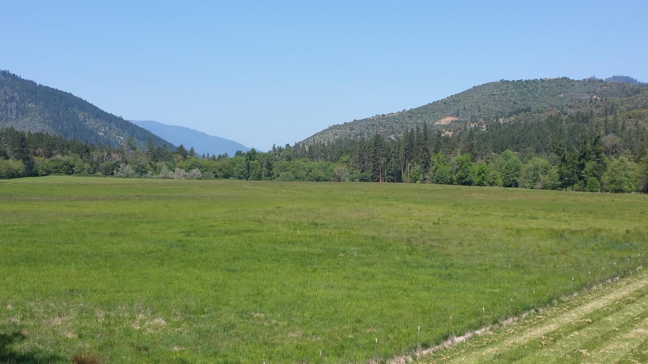 Listing Image 64
