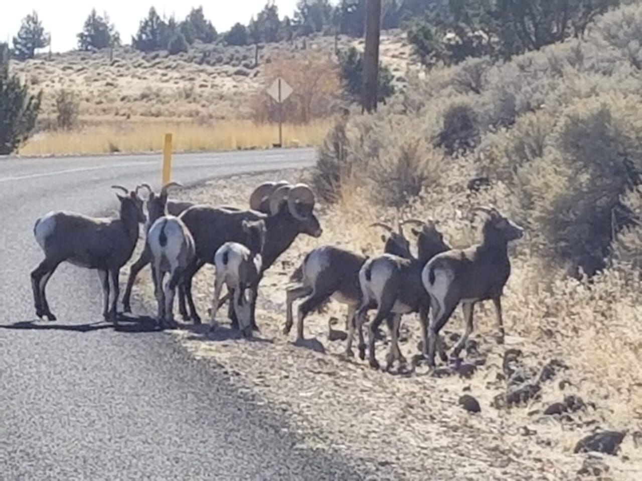 Twenty Mile Ranch