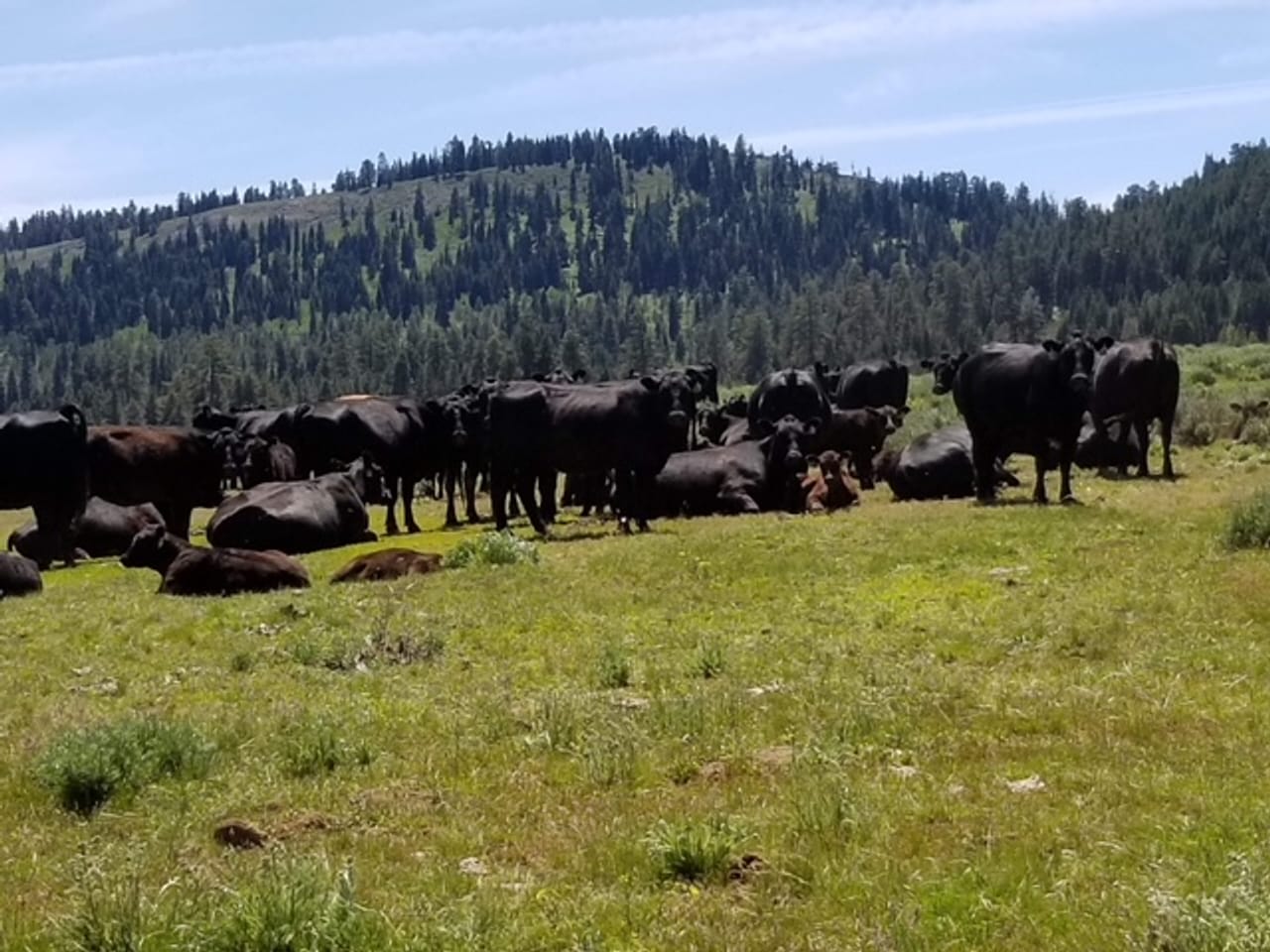 Twenty Mile Ranch