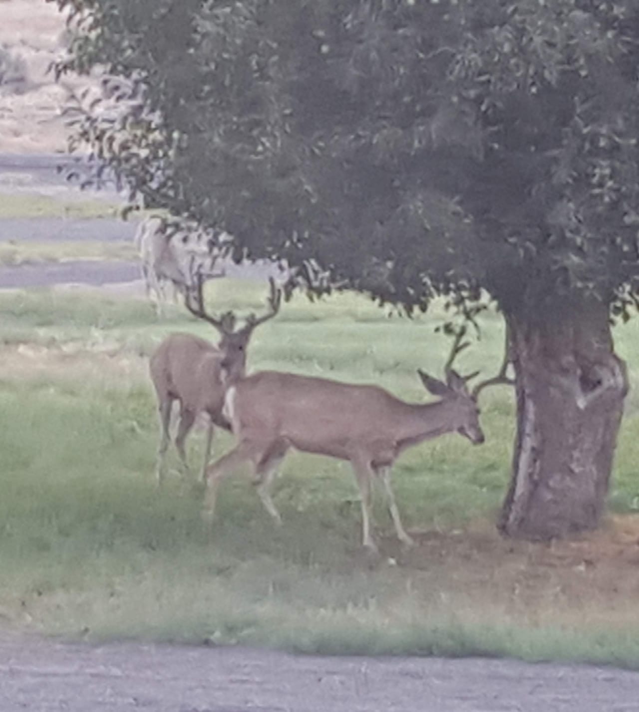 Twenty Mile Ranch
