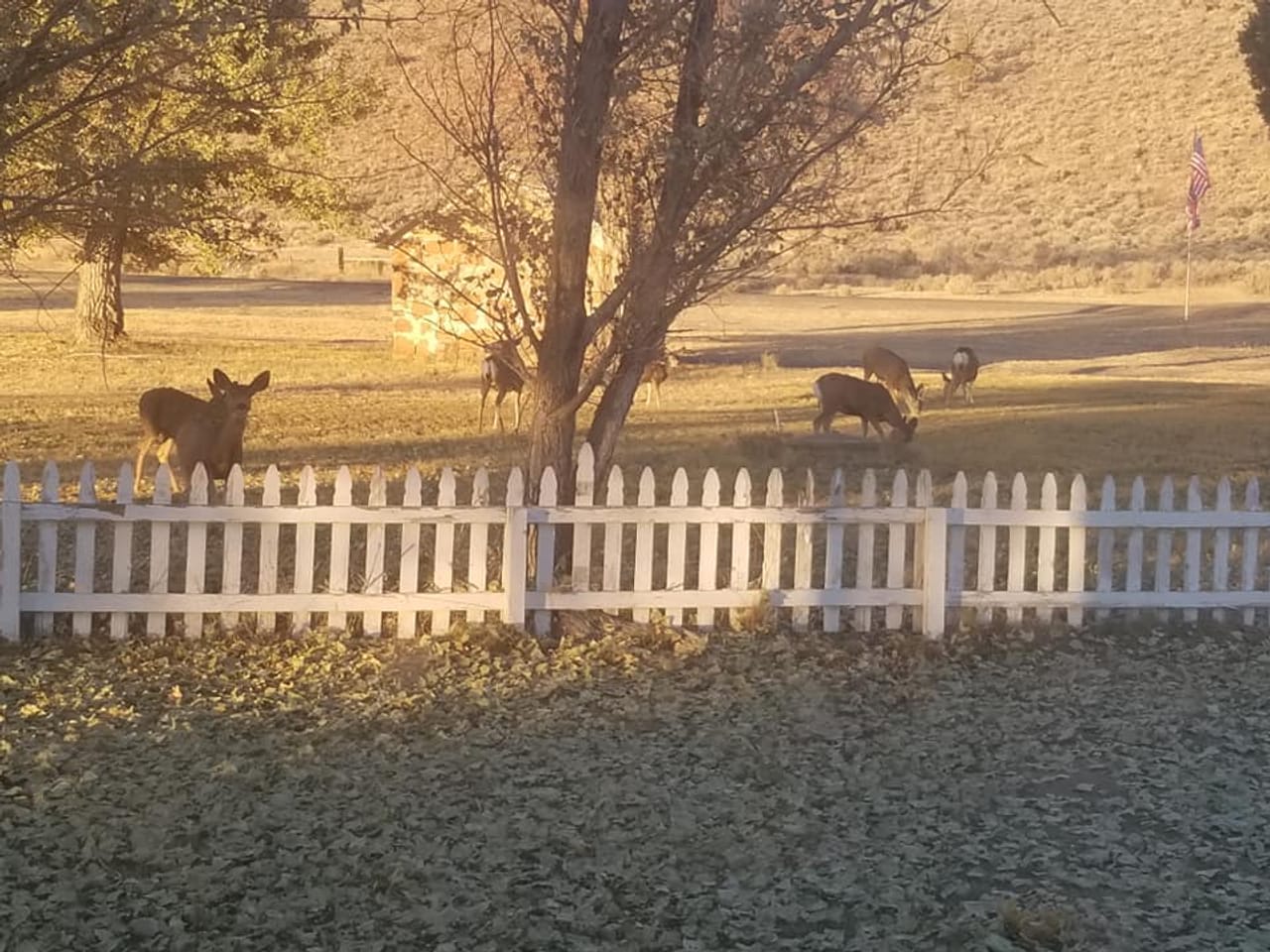 Twenty Mile Ranch