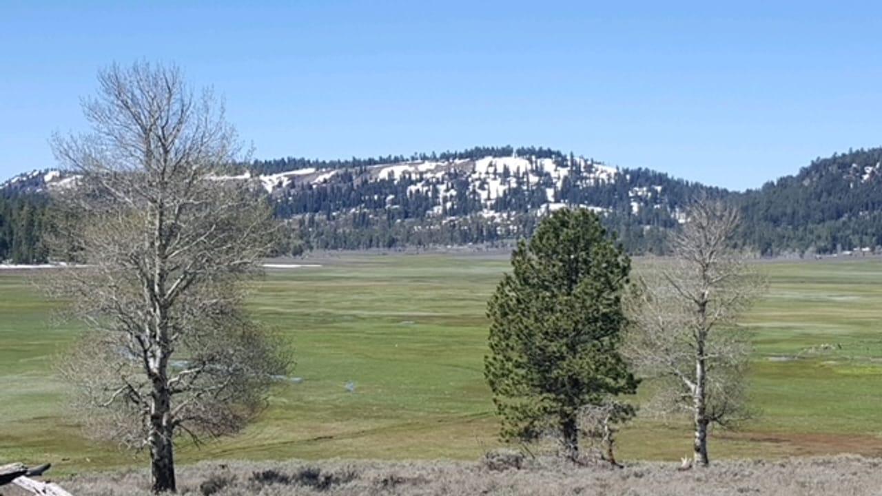 Twenty Mile Ranch