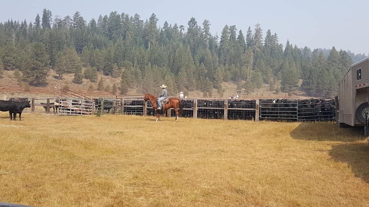 Twenty Mile Ranch