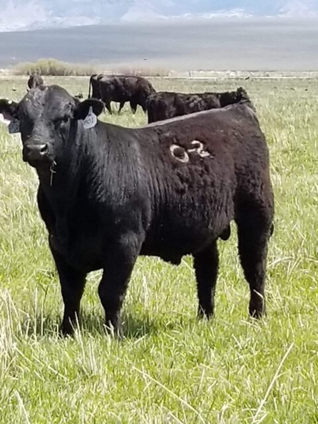 Twenty Mile Ranch