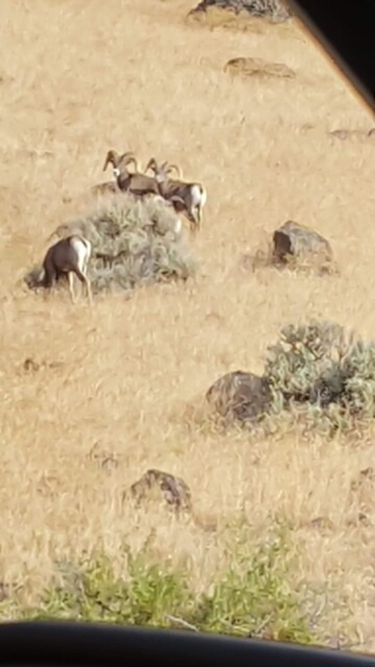 Twenty Mile Ranch