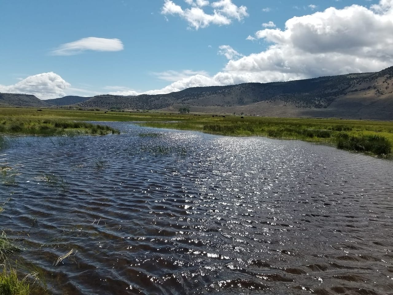 Twenty Mile Ranch
