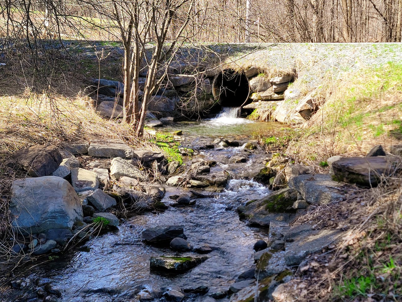 Listing Image 49