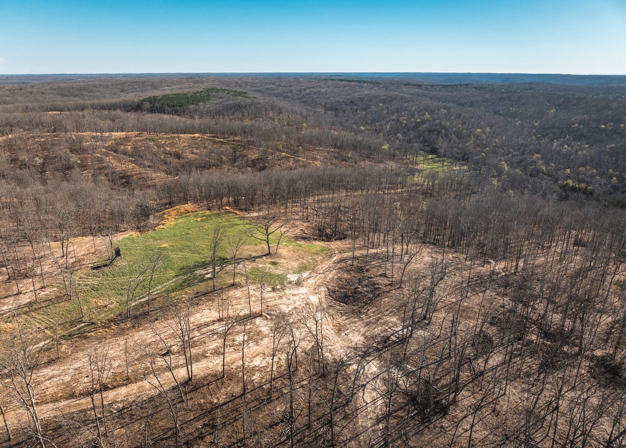 Listing Image 69