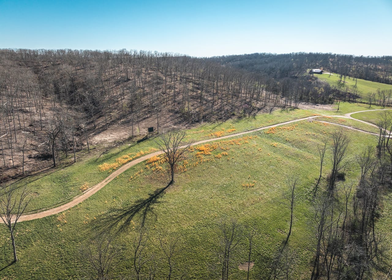 Listing Image 6
