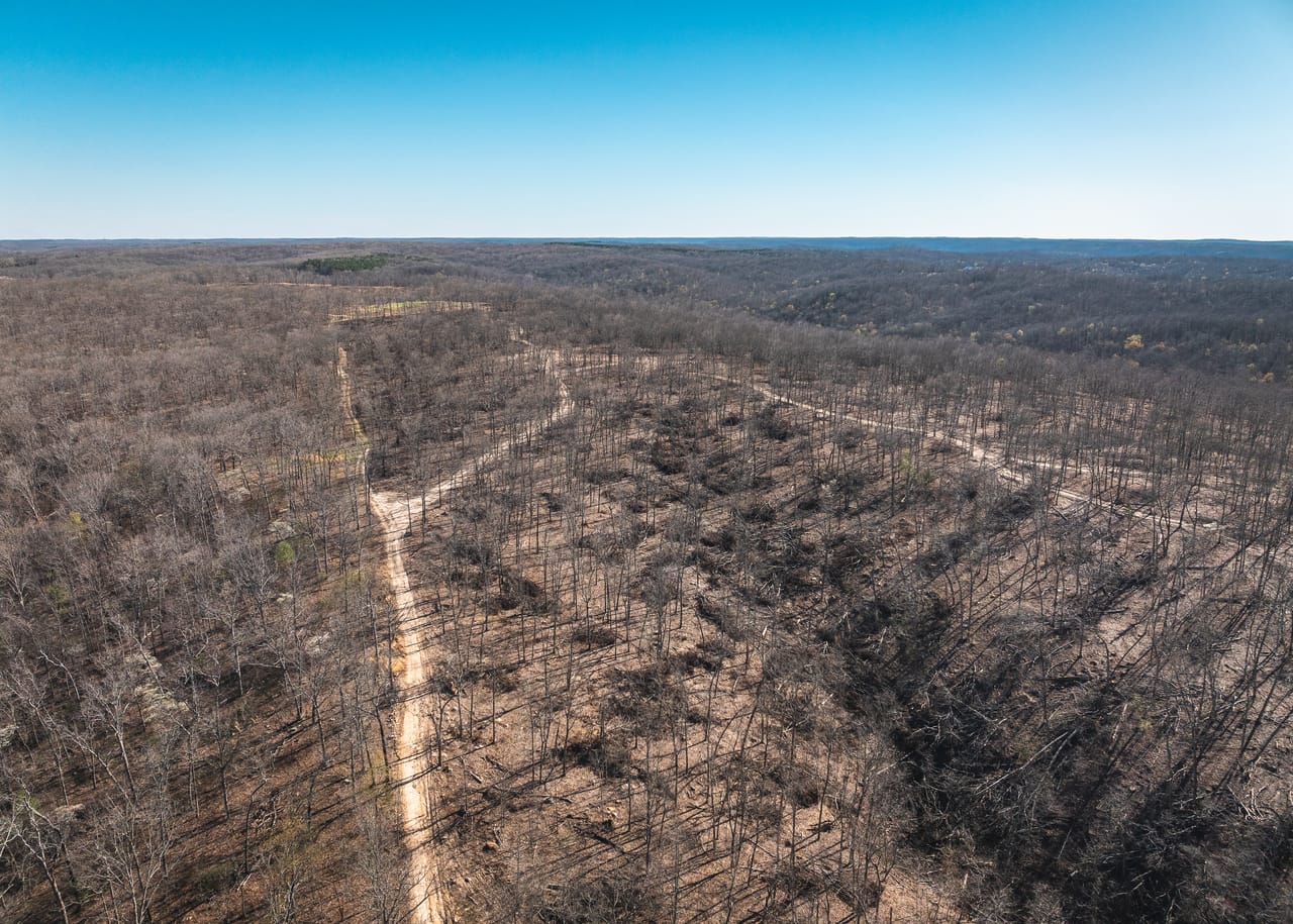 Listing Image 11
