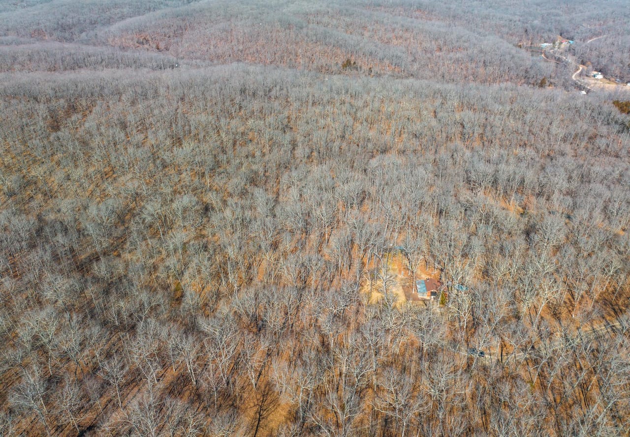 Listing Image 82