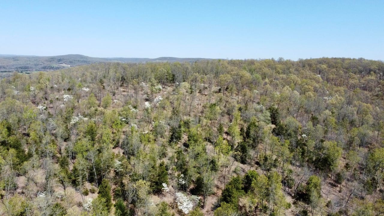 Listing Image 78