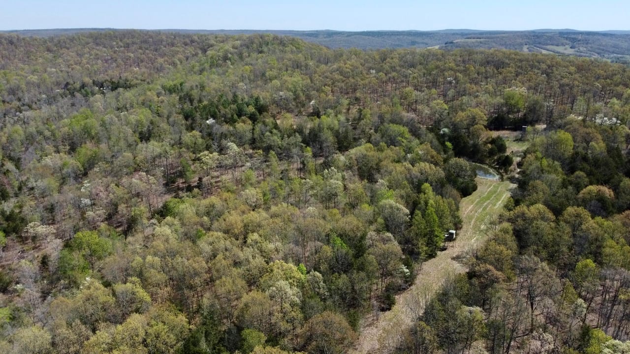 Listing Image 80