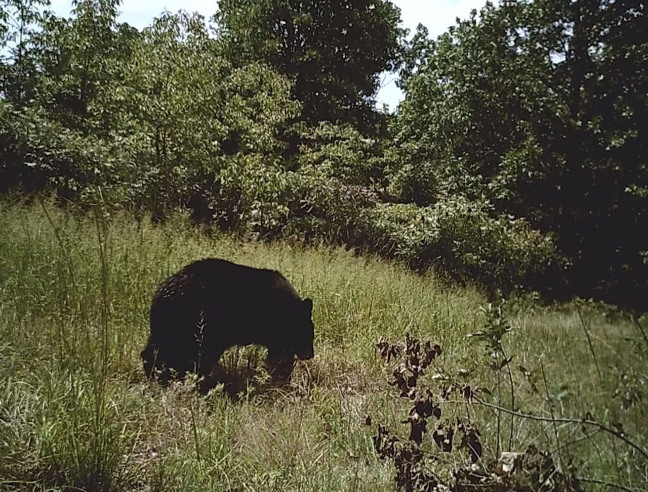 Listing Image 82