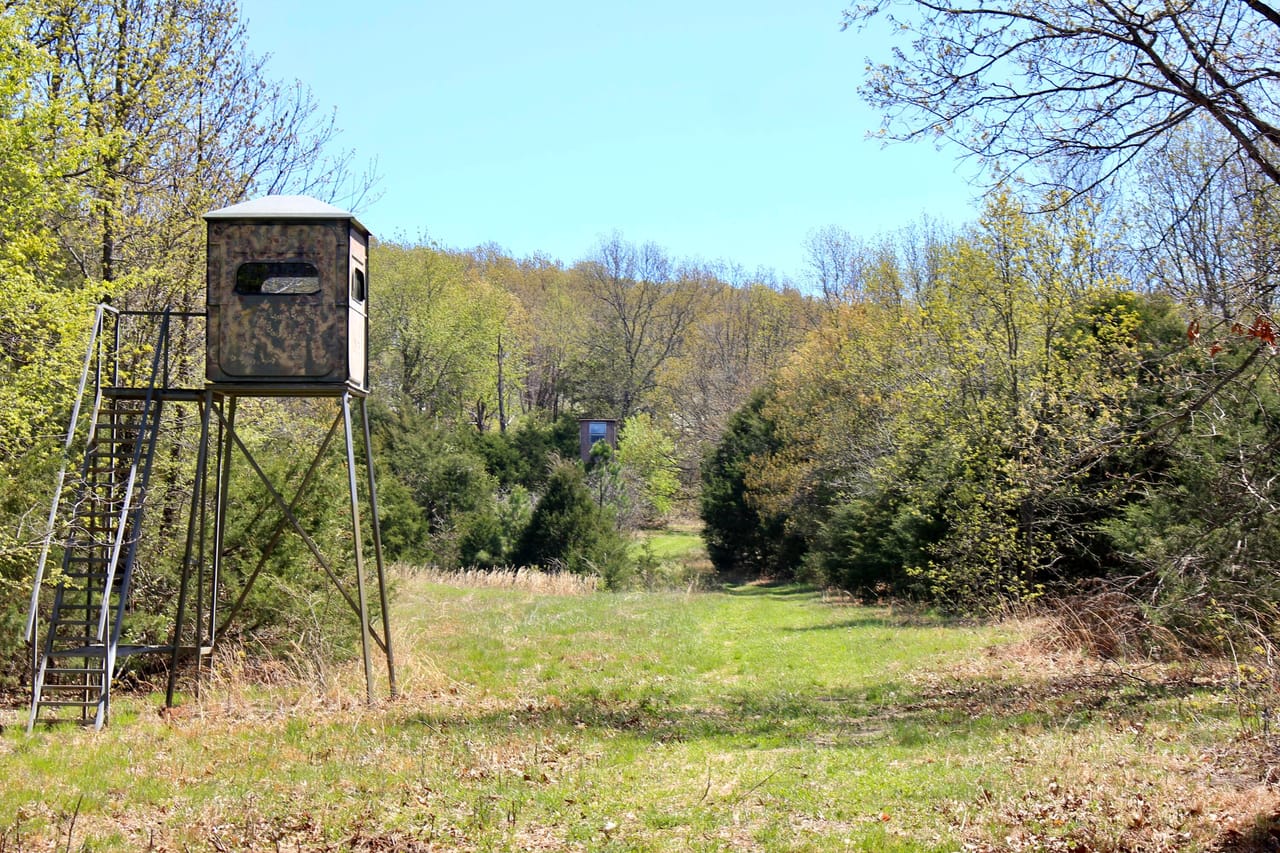 Listing Image 7