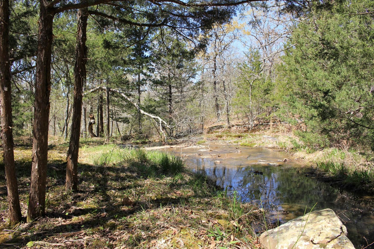 Listing Image 11