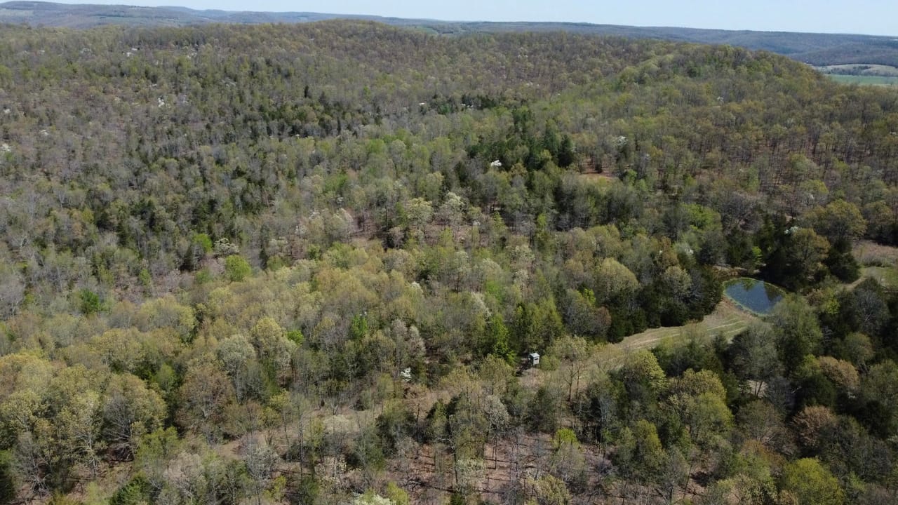 Listing Image 51