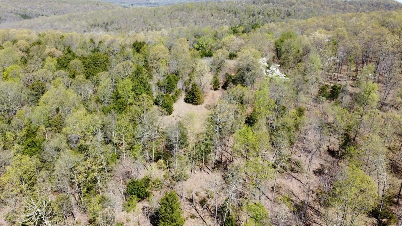 Listing Image 56