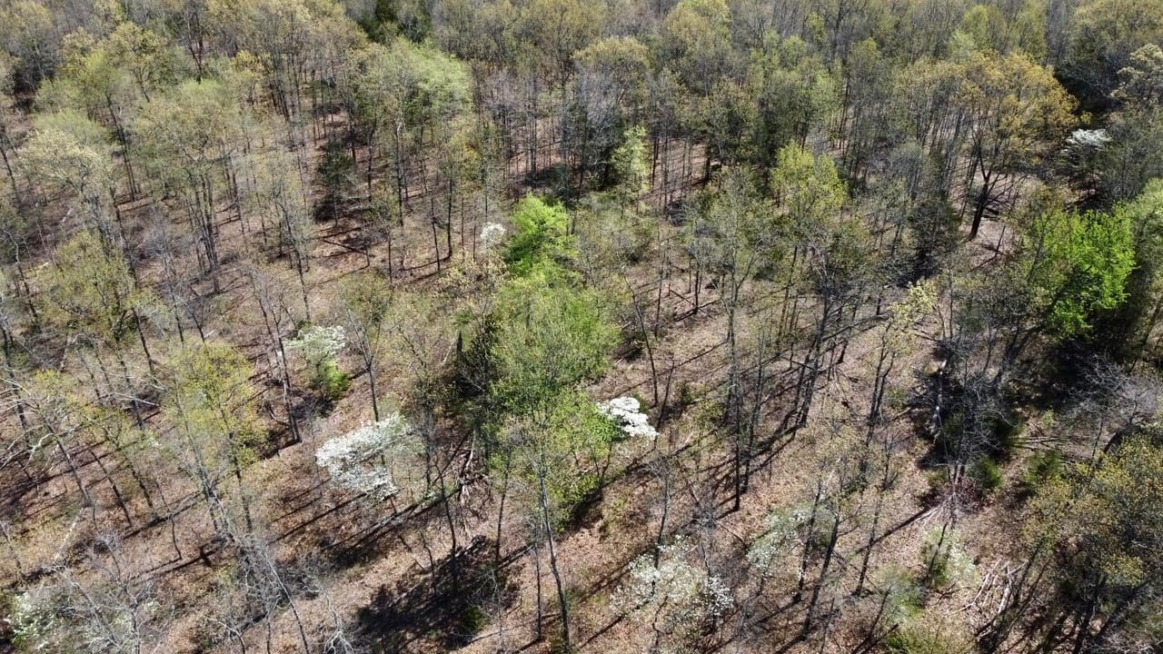 Listing Image 57