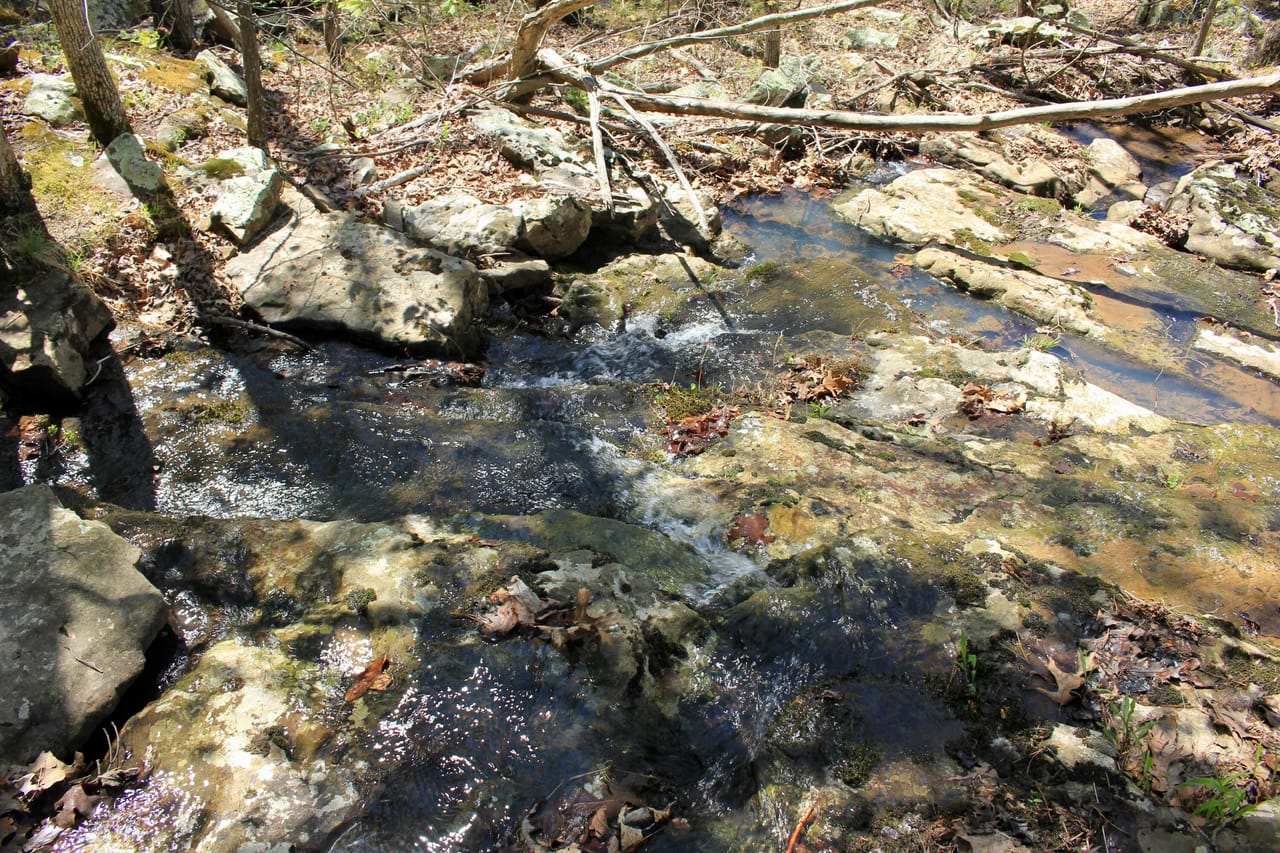 Listing Image 59
