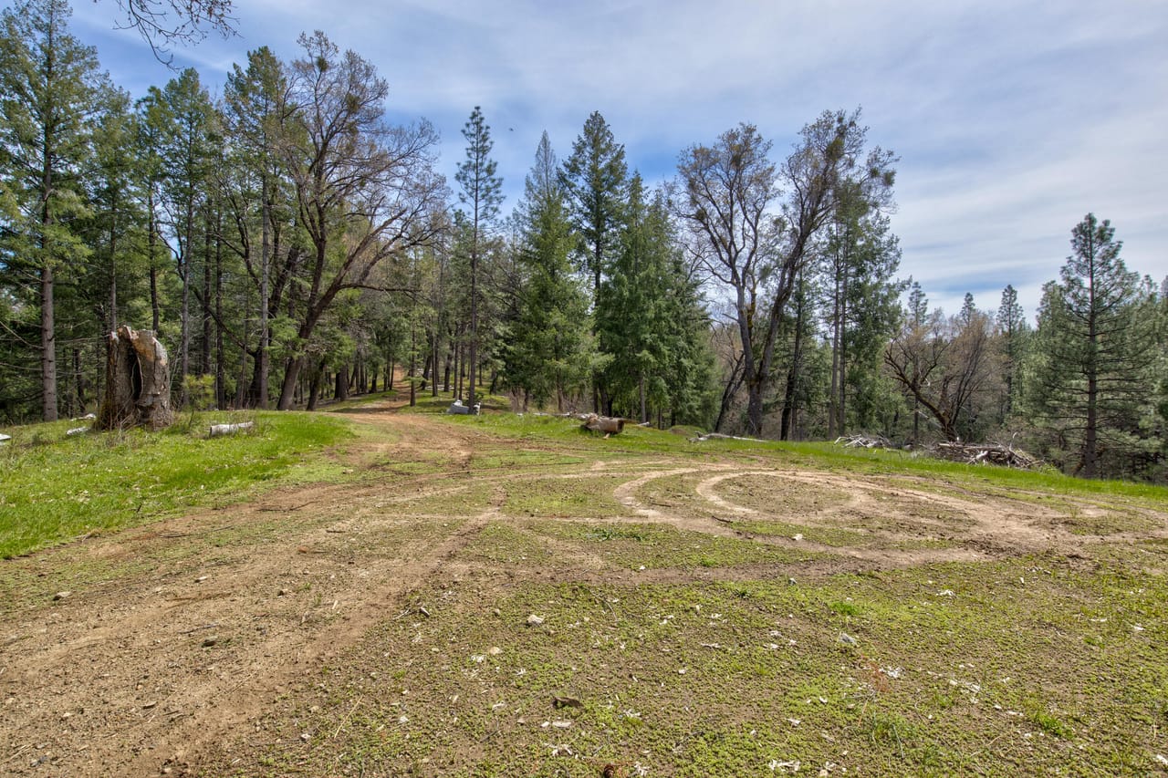 Listing Image 42