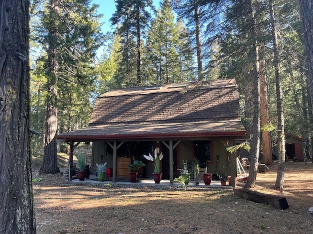 Listing Image 10