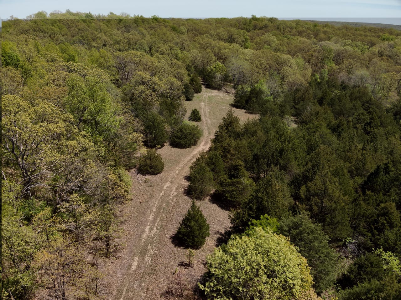 Listing Image 49