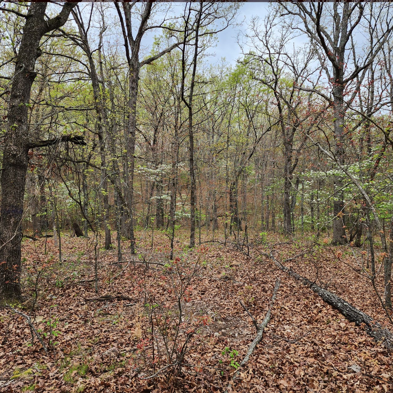Listing Image 58