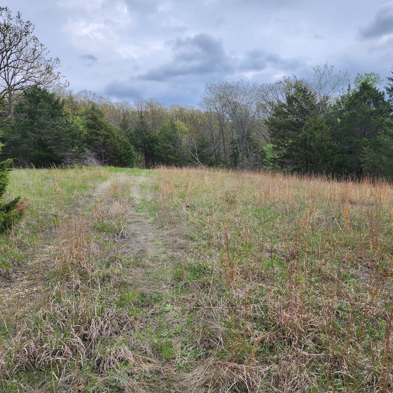 Listing Image 17
