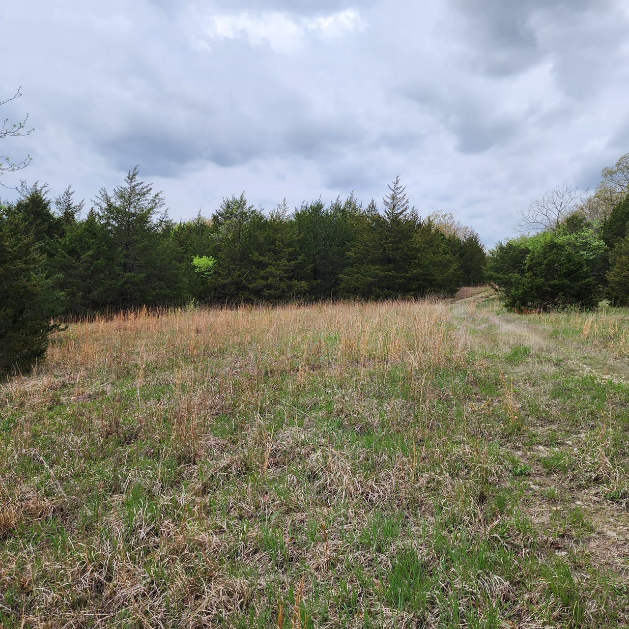 Listing Image 26