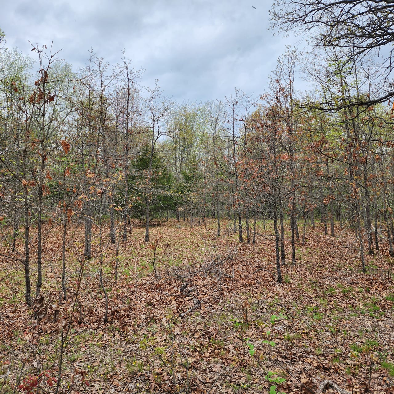 Listing Image 27