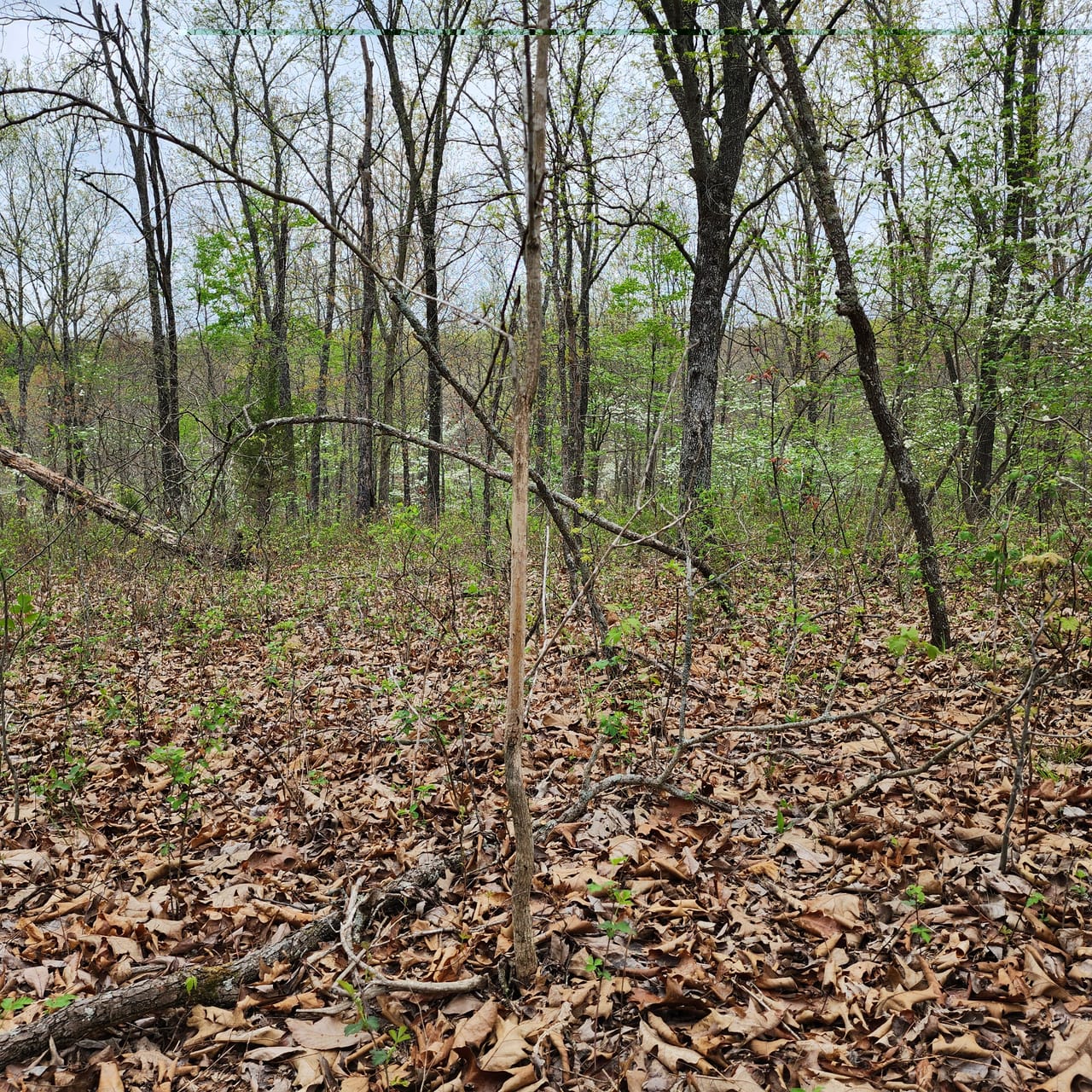 Listing Image 29