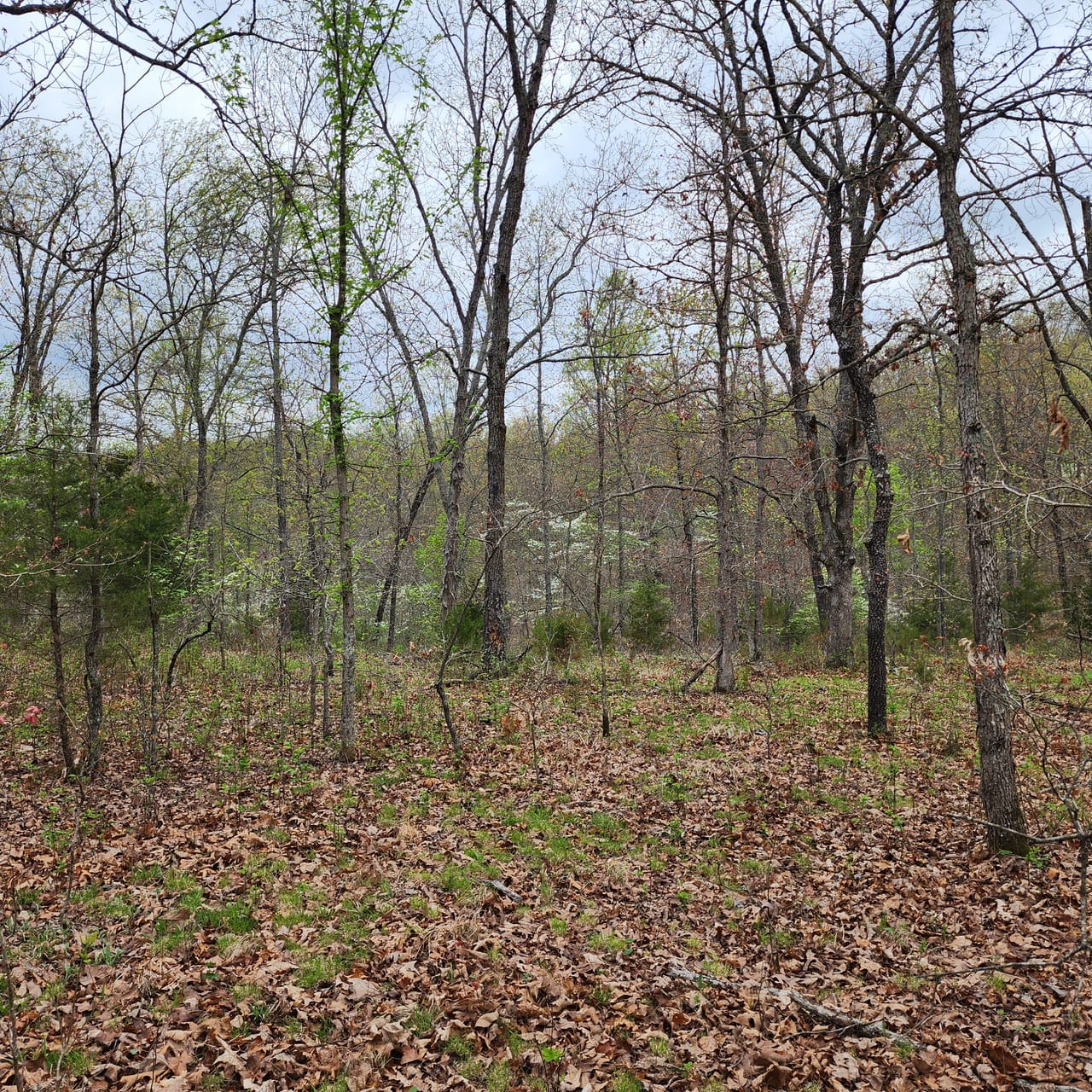Listing Image 31