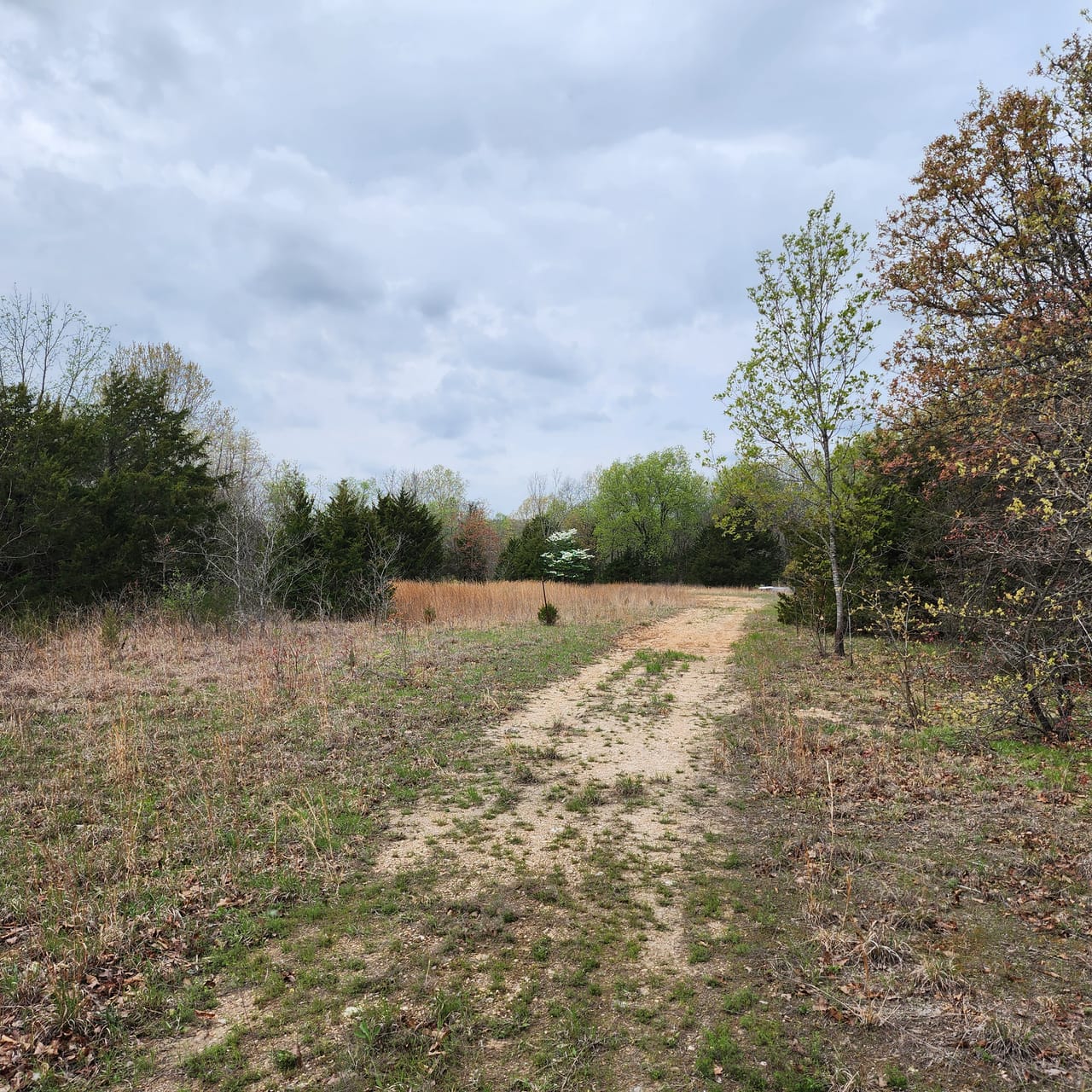 Listing Image 66
