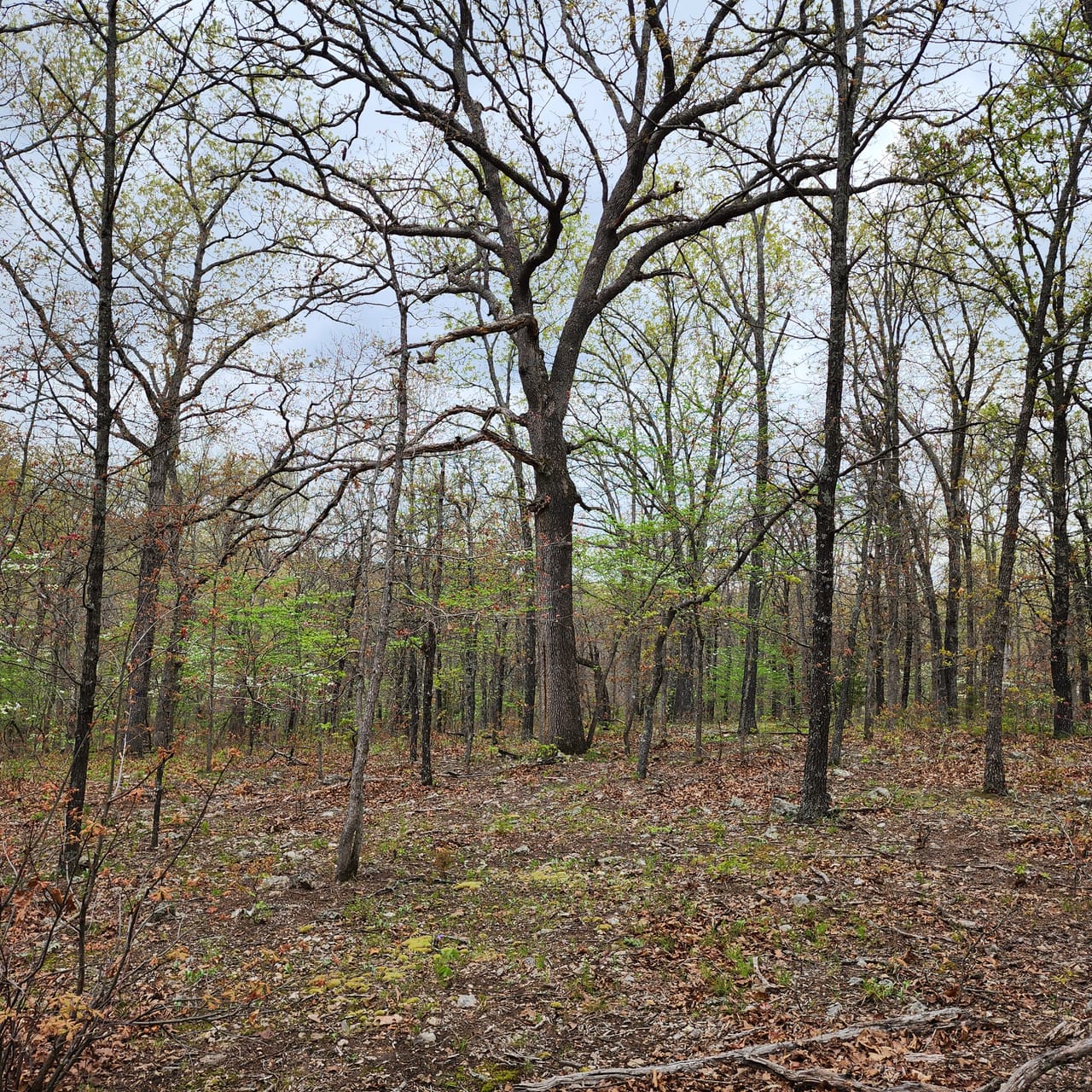 Listing Image 70